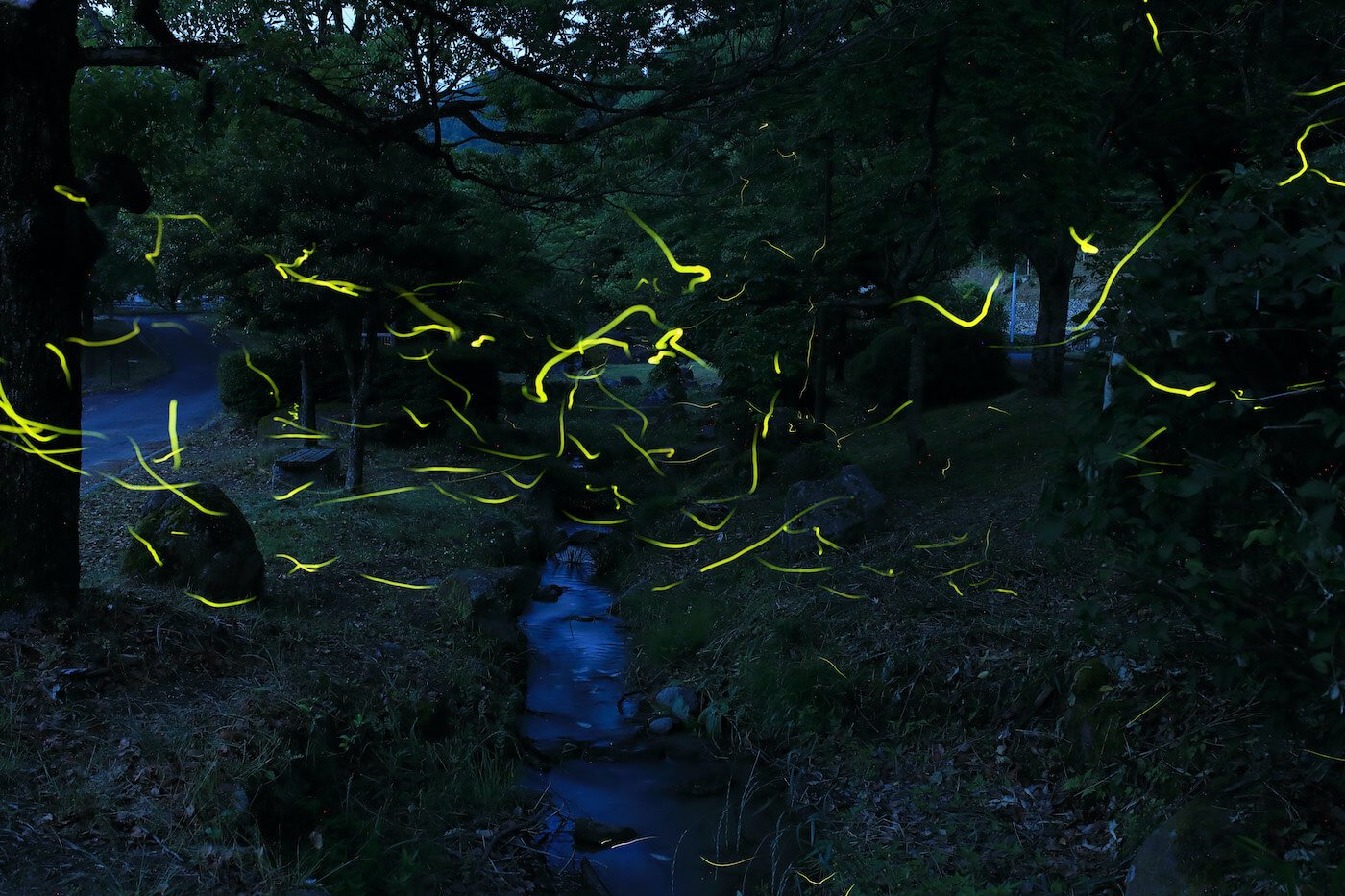 🏞️ 모토키강 자연공원 반딧불이 마을 (모토키가와 시젠코엔 호타루노사토)